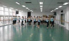 舞蹈地板多少錢一平方米