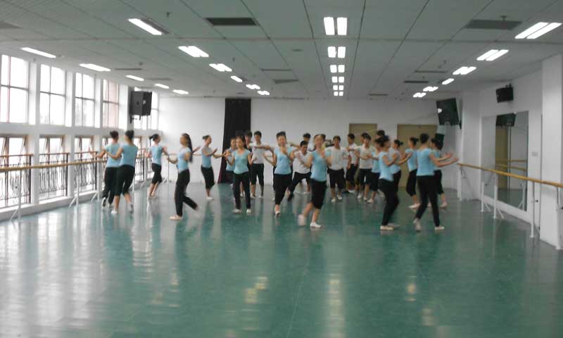 河北保定市河北大學藝術學院舞蹈地板