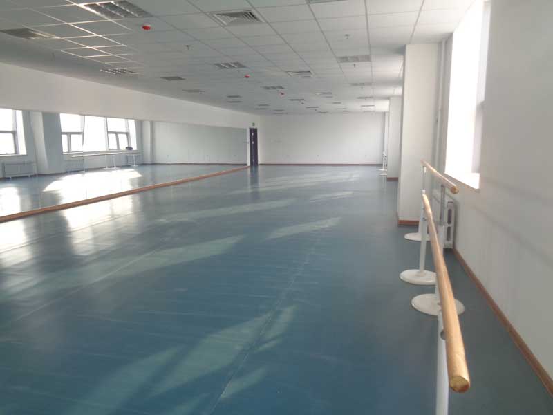 沈陽市渾南新區沈陽歌舞團舞蹈地板